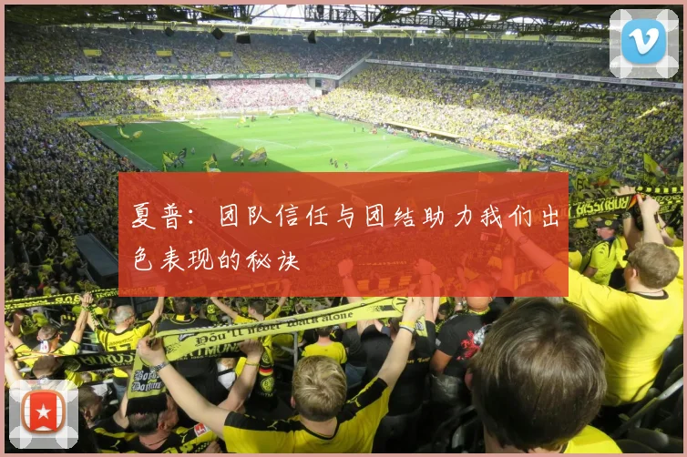 夏普：团队信任与团结助力我们出色表现的秘诀